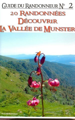 Découvrir la vallée de Munster 2