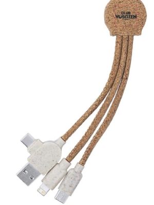 CABLE MULTIFONCTION LIEGE