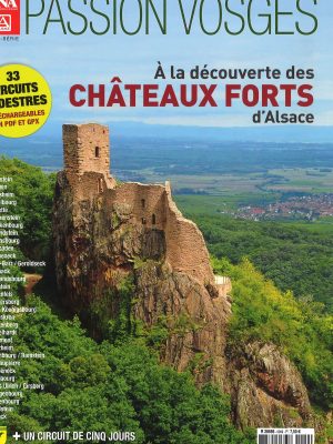 Passion Vosges A la découverte des châteaux pour site