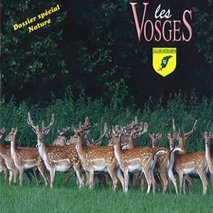 biches-menu-magazines