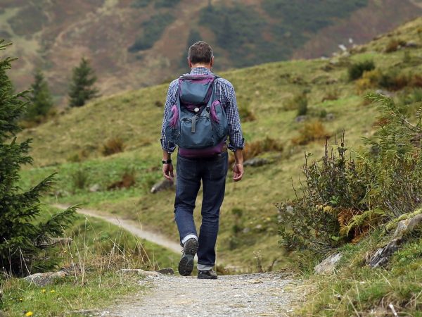 Le ruisseau de la colline : par monts et par vaux