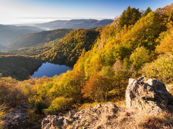 Circuit du Lac des Perches et des Etangs de Neuweiher