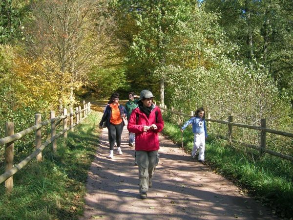 Randonnée Marathon autour du camp militaire de Bitche