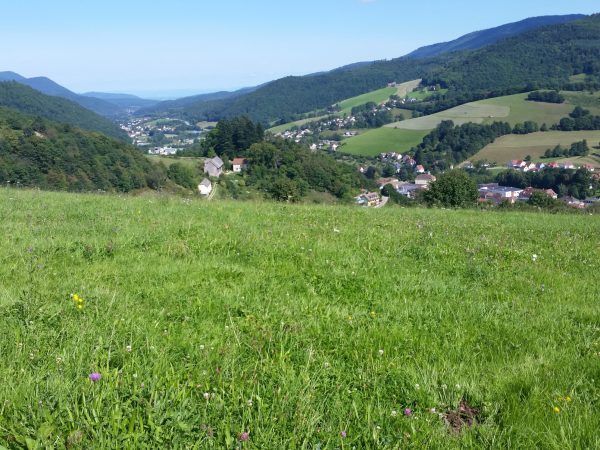 Circuit du Fenarupt - Roche des Corbeaux