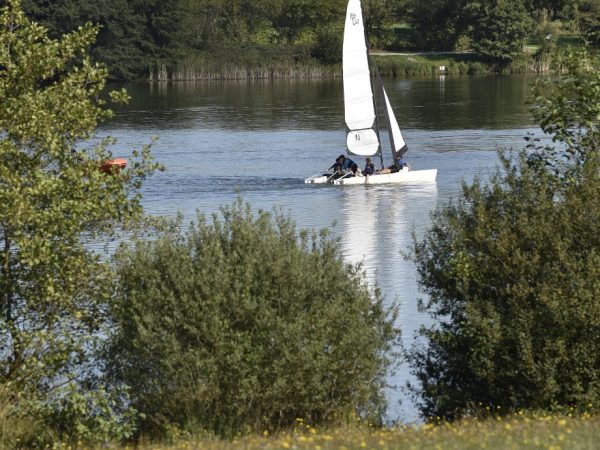 Le Sentier des Etangs - 90300 Sermamagny