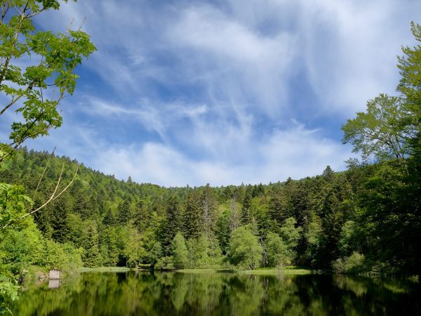 La Vallée de la Savoureuse - 90100 Malvaux