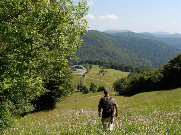 Le Sentier du Souvenir 90200 Auxelles-Haut