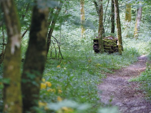 Le sentier des Bornes 90500 Beaucourt