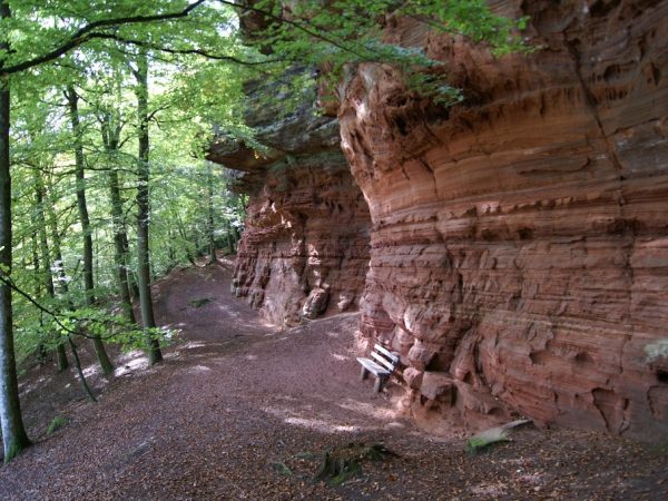 Autour de Roppeviller vers l’Altschlossfelsen et le Rocher de Diane