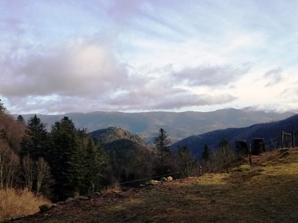 A la rencontre du gazon vert depuis Storckensohn