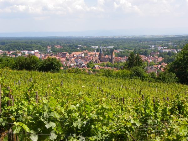 Wissembourg et le château Saint Paul