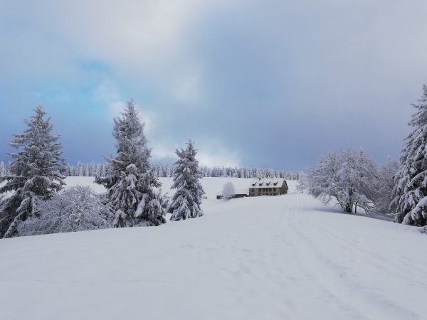 Le Haycot - à pied ou en raquettes