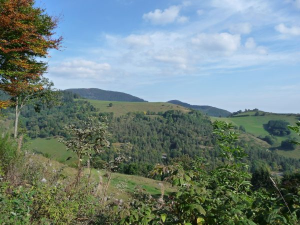 Le Tour de Faurupt