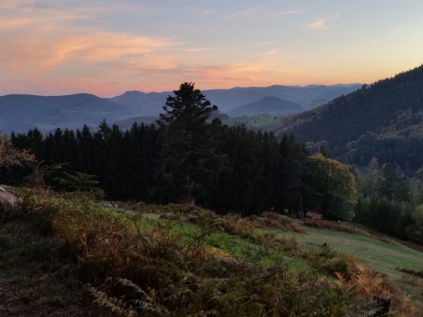 le sentier muletier de Fréland