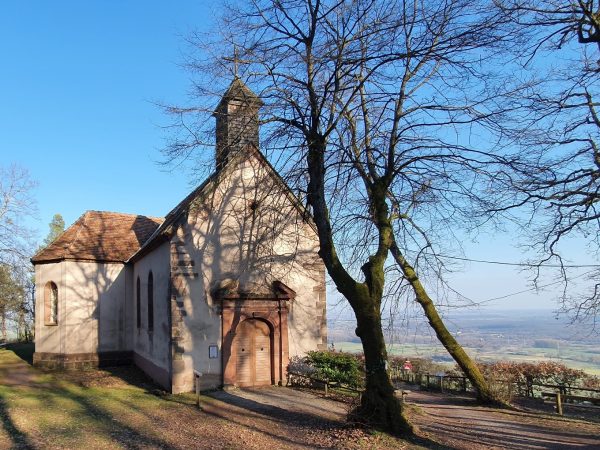 Saint Jean Saverne - la Forêt des Dames à partir du Mt St Michel