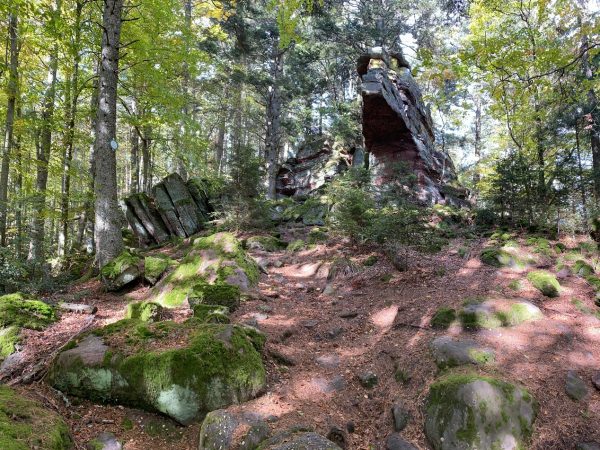 Le Taennchel au départ de Thannenkirch