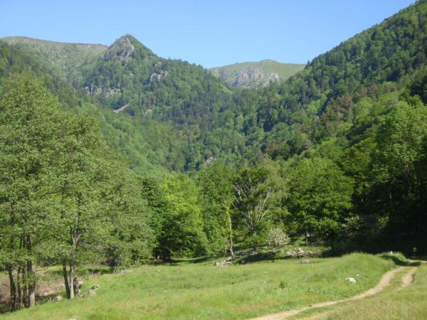 Vallée de la Wormsa