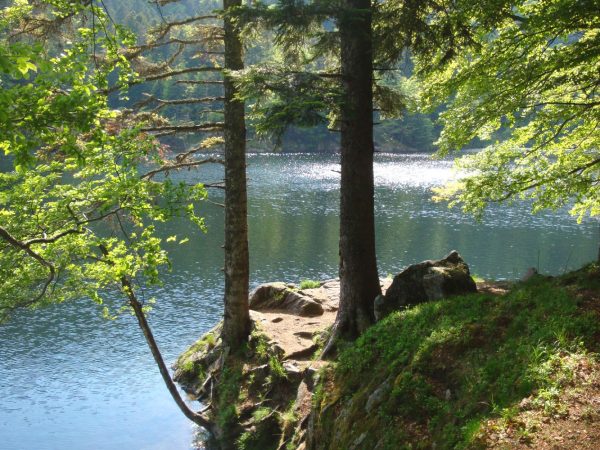 Rainkopf et Rothenbachkopf