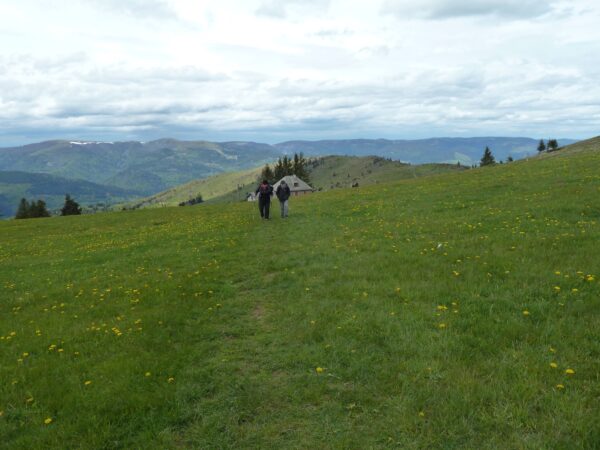 Tour du Petit Ballon depuis le Col de Boenlesgrab