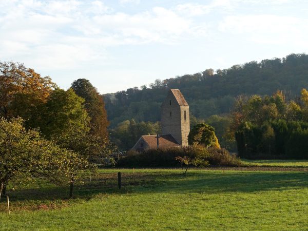 le Haulenwald à Illfurth